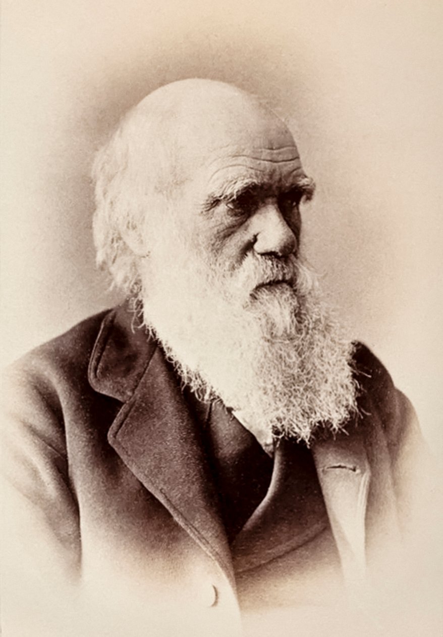 Charles Darwin: engelsk naturforsker av Elliott und Fry Studio