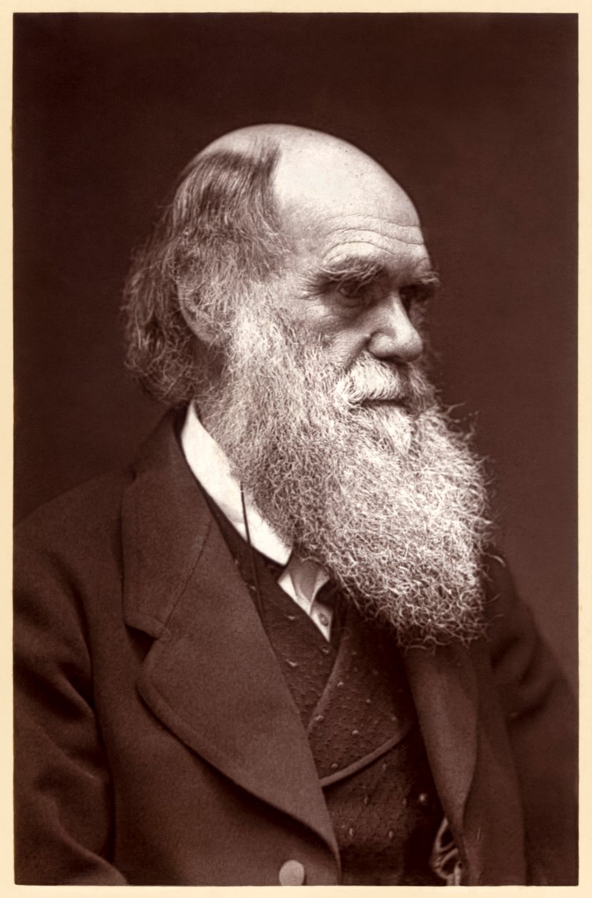 Charles Darwin: engelsk naturforsker av Elliott und Fry Studio