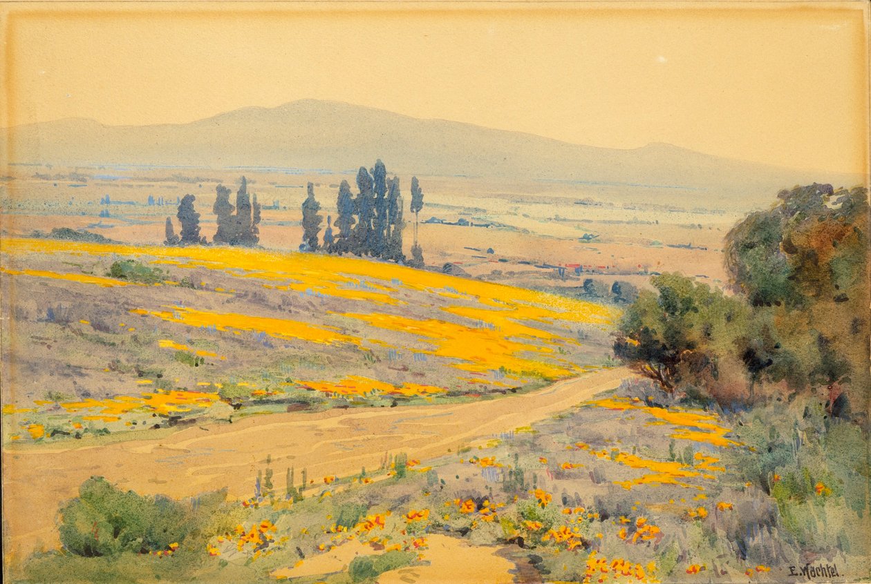  av Elmer Wachtel