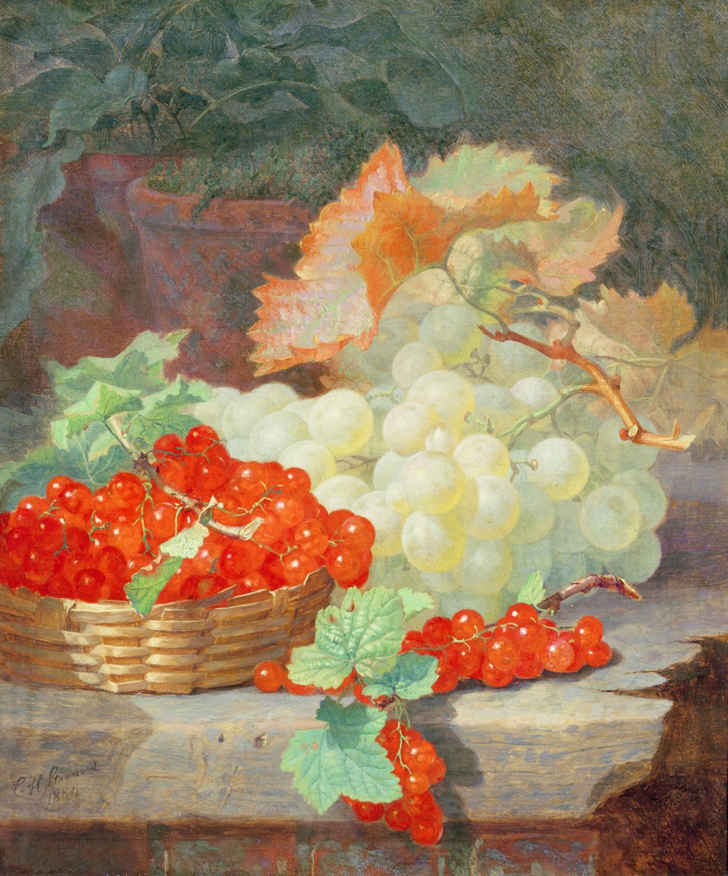Rips og druer, 1864 av Eloise Harriet Stannard