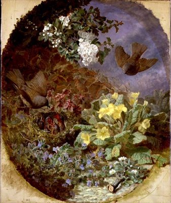 Wrens feeding their young in a reir (s. & d. 1876) av Eloise Harriet Stannard