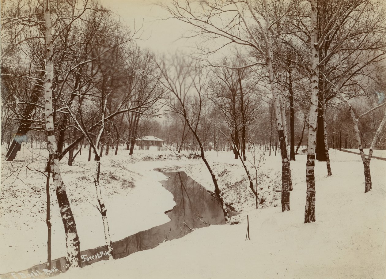 Vinterscene i Forest Park med bekk som skjærer gjennom snø av Emil Boehl