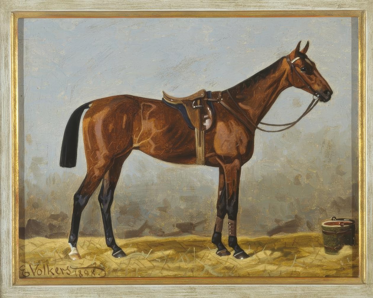 Salet bay hest av Emil Volkers