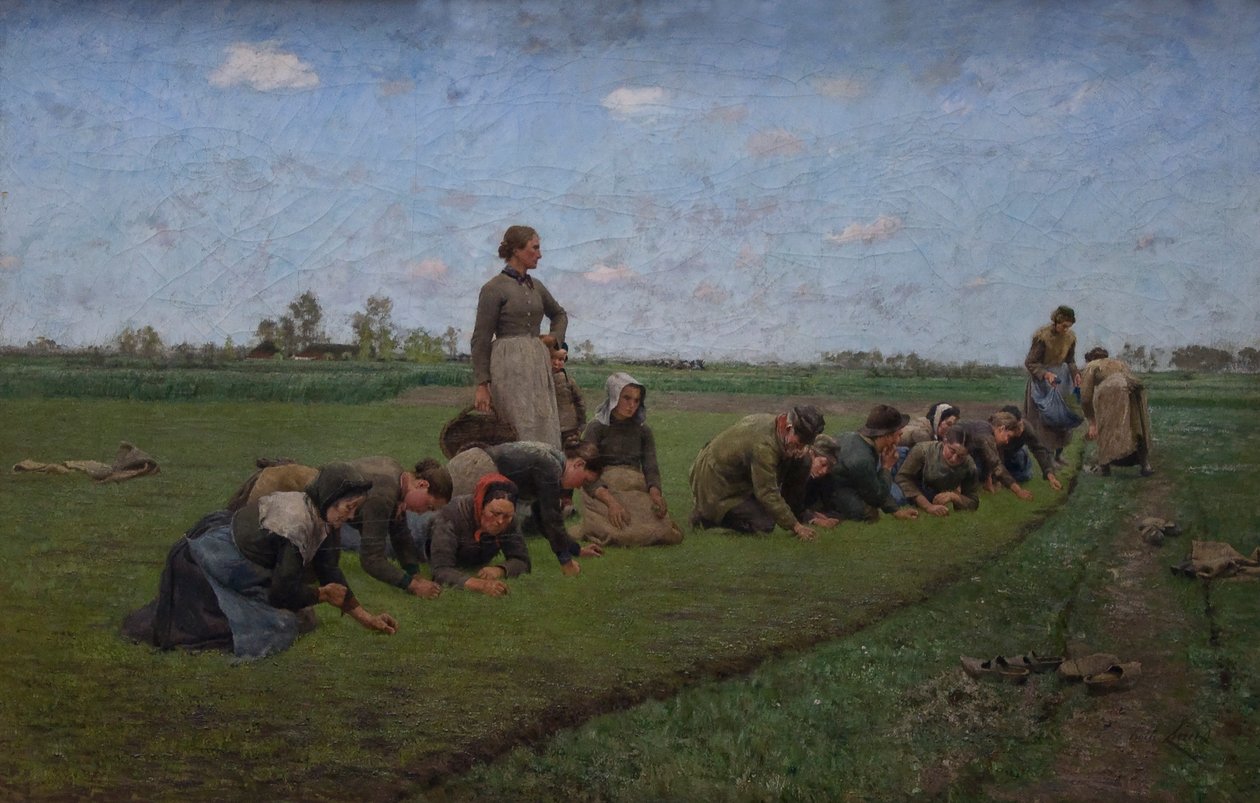 Linhassing i Flandern av Emile Claus
