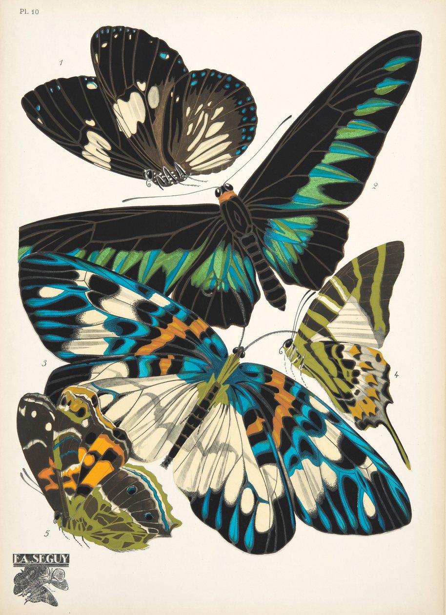 Tallerken 10, fra Butterflies, pub. 1925 (stensiltrykk) av Émile Allain Séguy