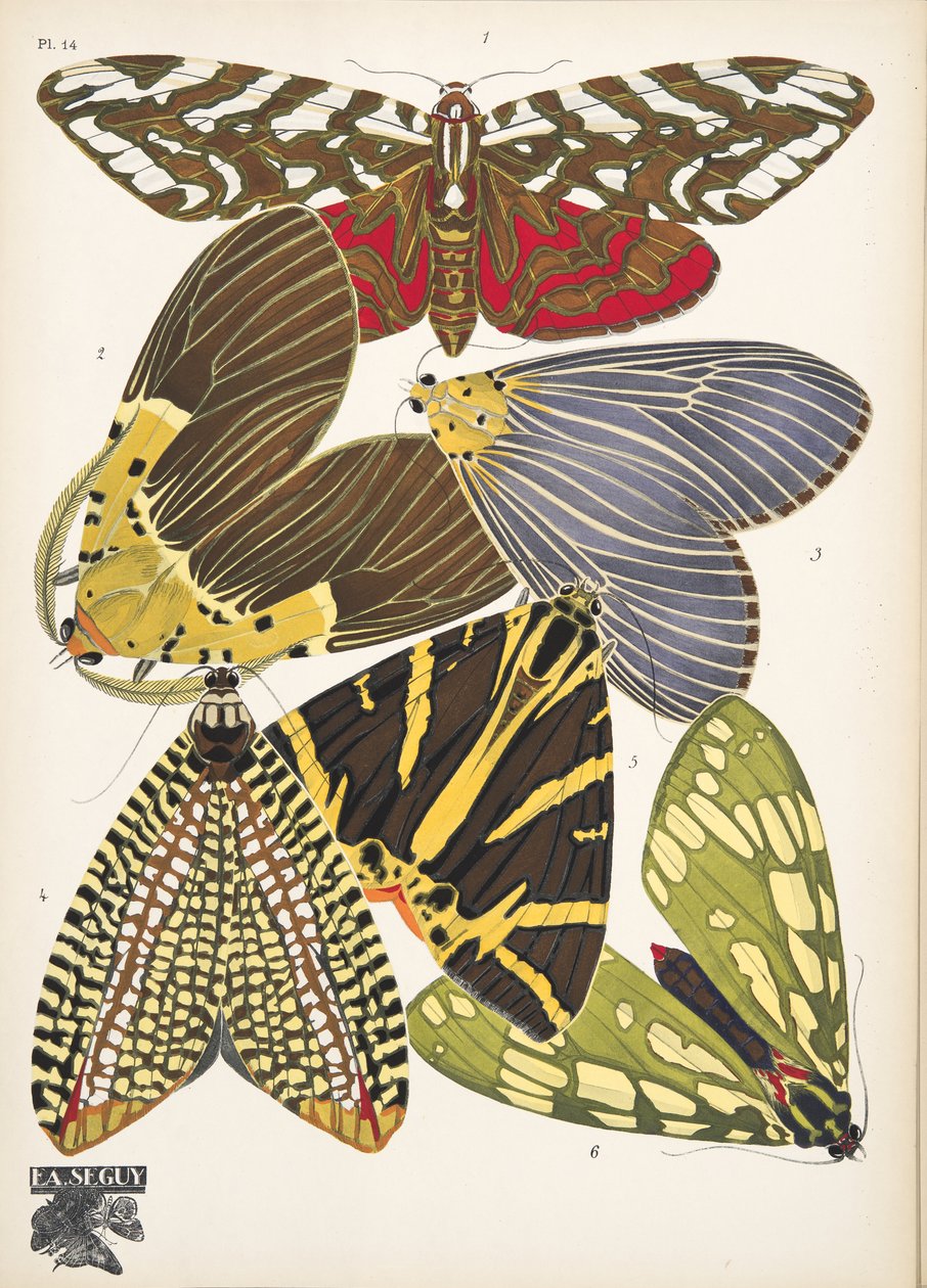 Tallerken 14, fra Butterflies, pub. 1925 (stensiltrykk) av Émile Allain Séguy