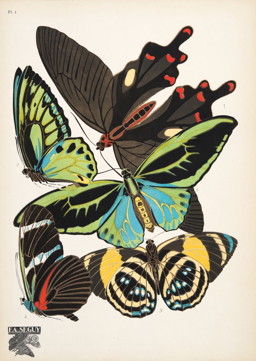 Tallerken 1, fra Butterflies, pub. 1925 (stensiltrykk) av Émile Allain Séguy