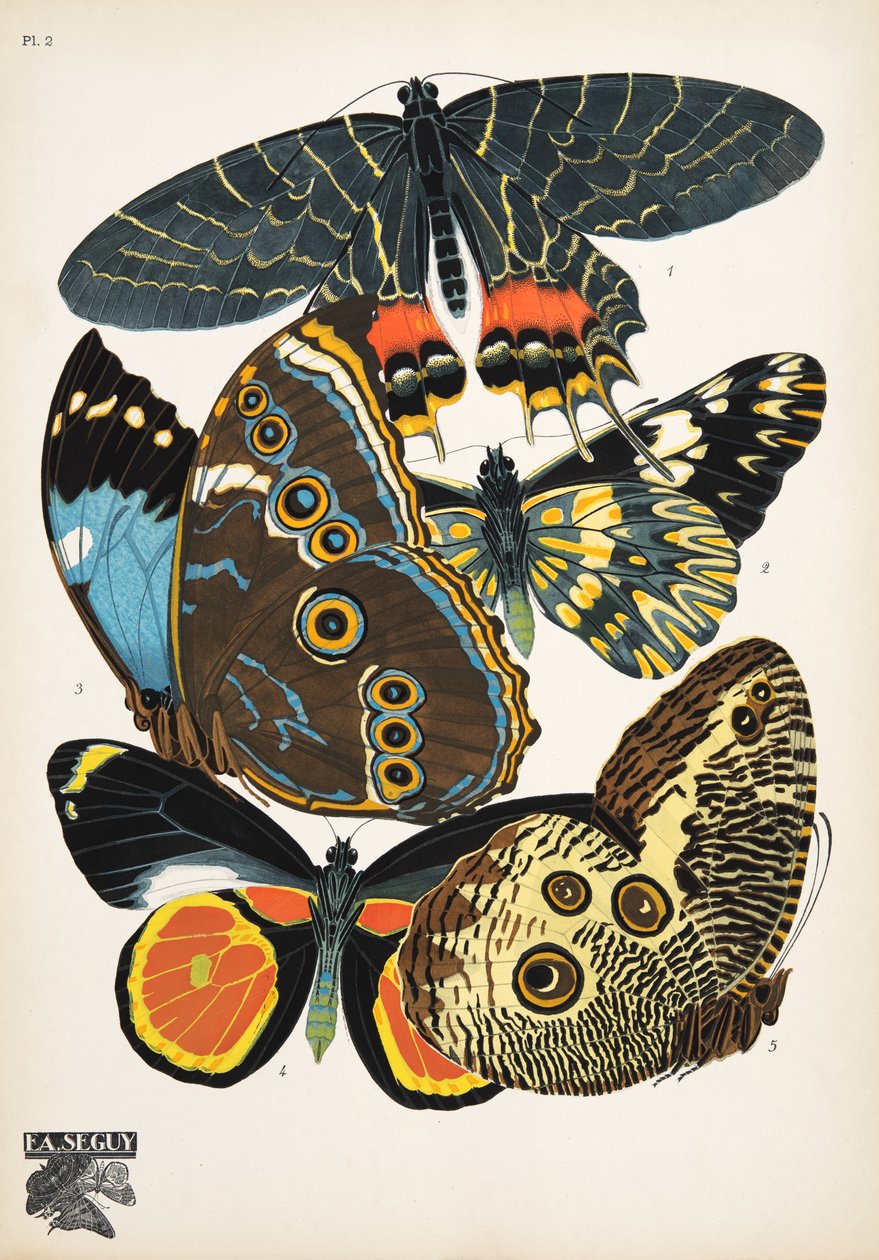 Tallerken 2, fra Butterflies, pub. 1925 (stensiltrykk) av Émile Allain Séguy