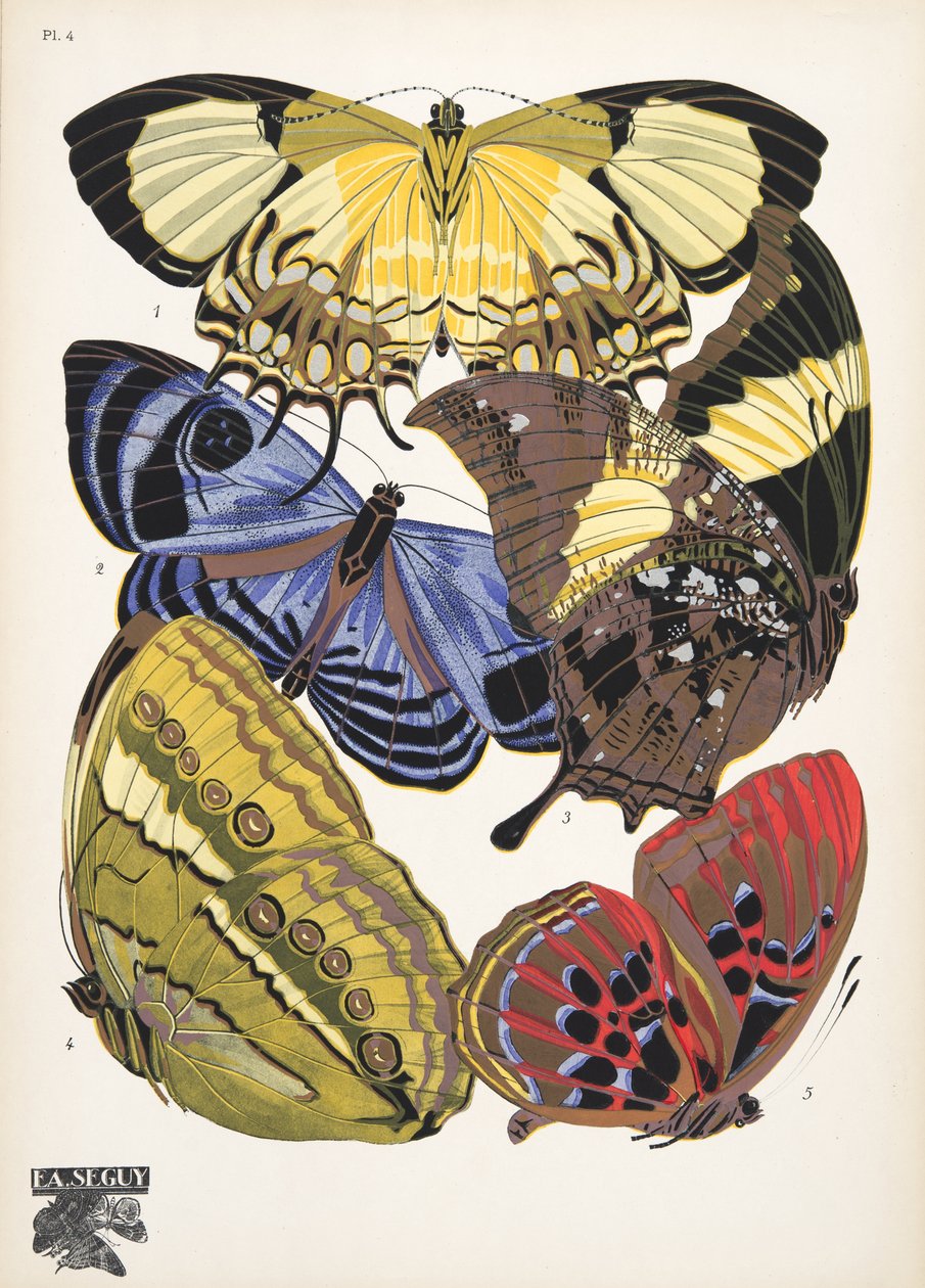 Tallerken 4, fra Butterflies, pub. 1925 (stensiltrykk) av Émile Allain Séguy