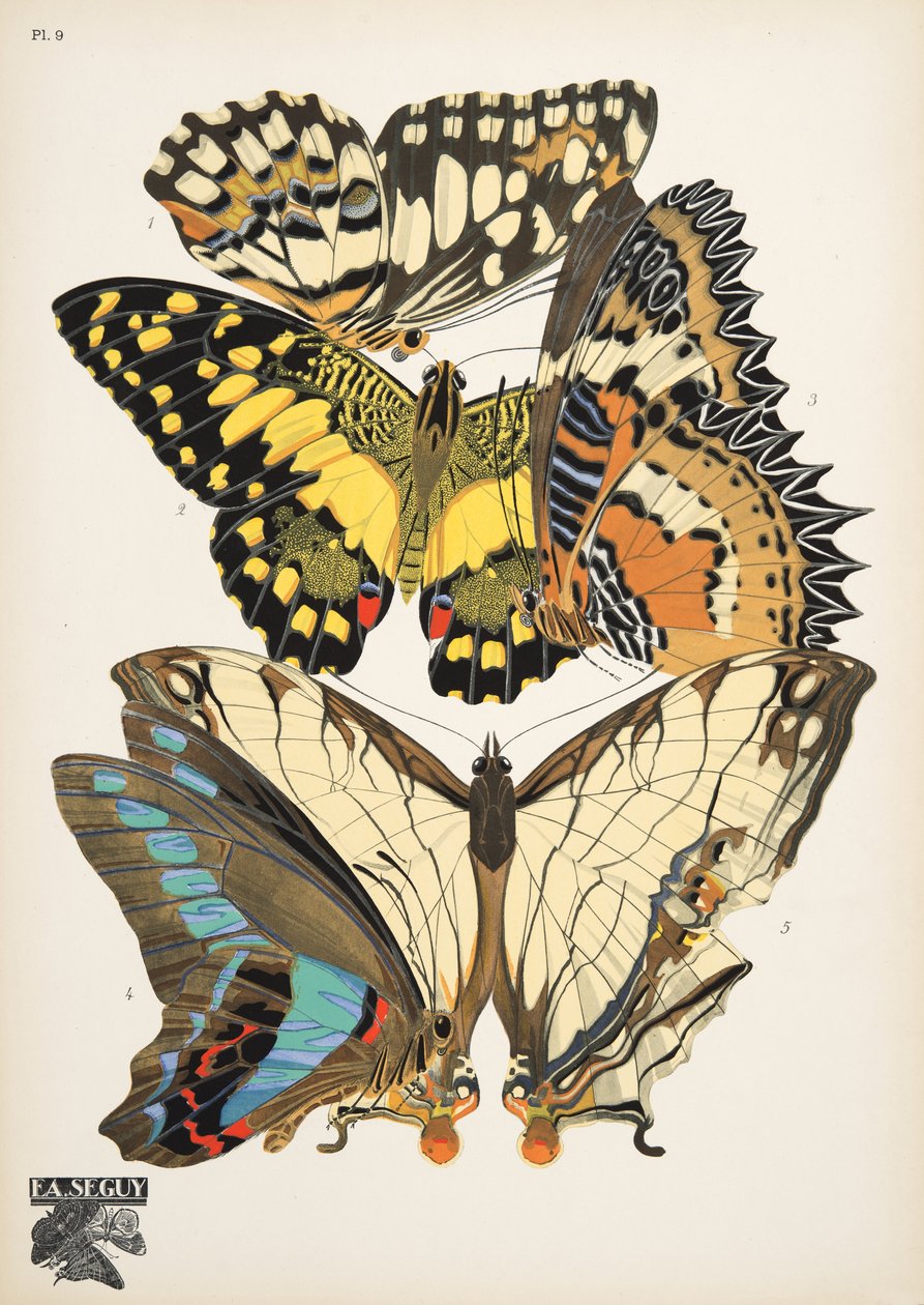 Tallerken 9, fra Butterflies, pub. 1925 (stensiltrykk) av Émile Allain Séguy