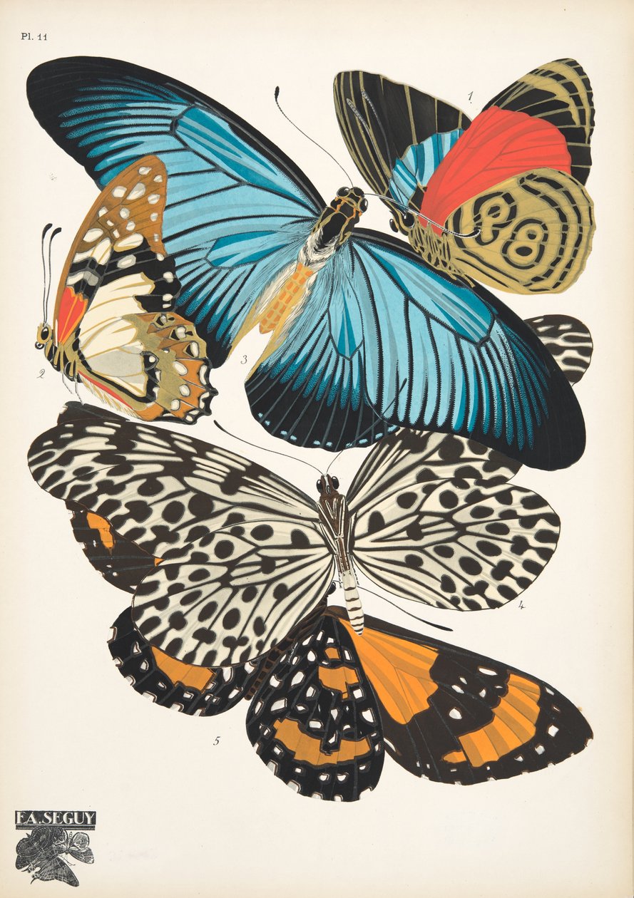 Tallerken 11, fra Butterflies, pub. 1925 (stensiltrykk) av Émile Allain Séguy