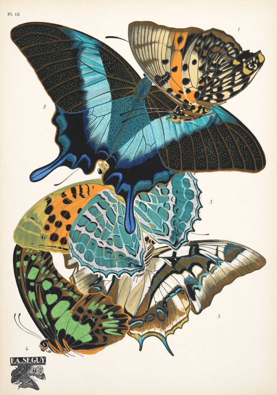 Tallerken 13, fra Butterflies, pub. 1925 (stensiltrykk) av Émile Allain Séguy