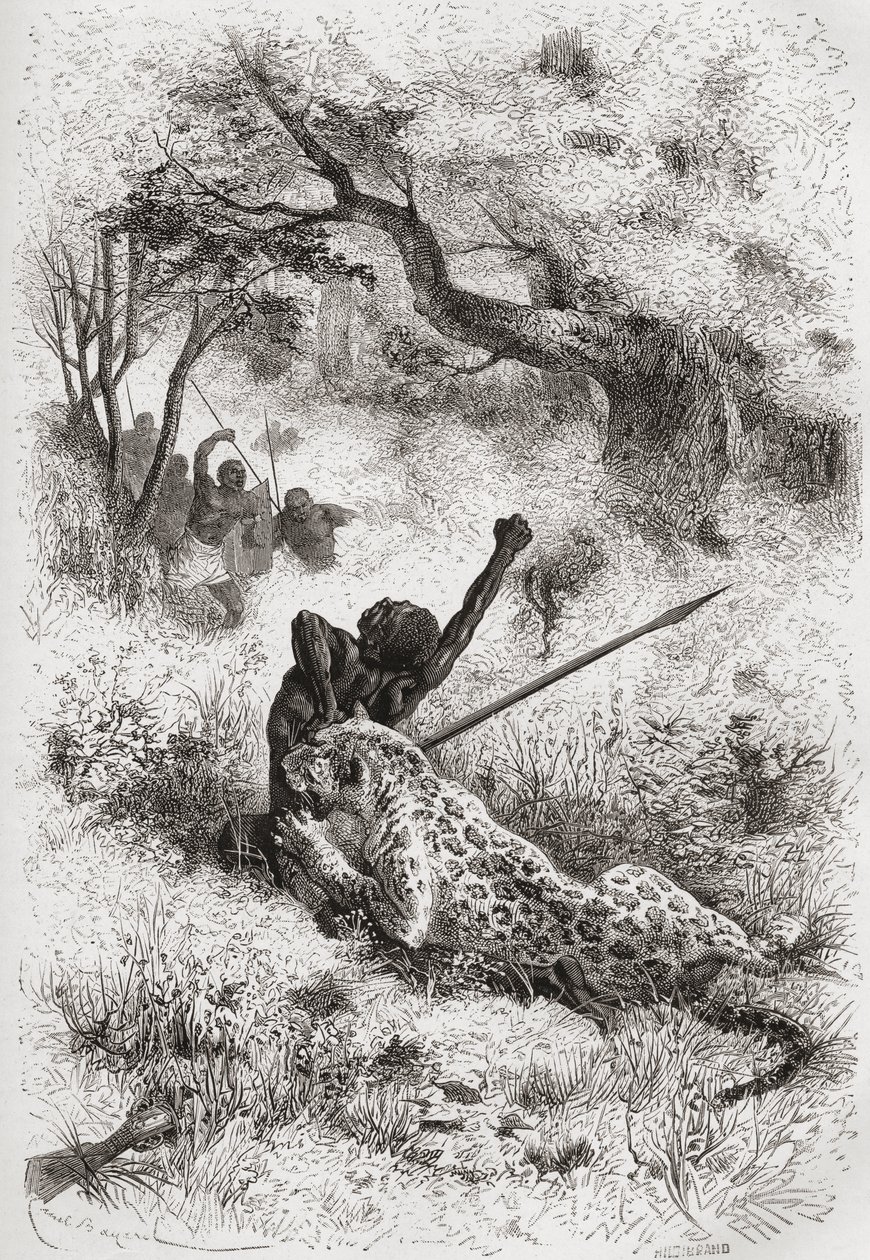 En leopard som angriper en afrikaner, illustrasjon fra 