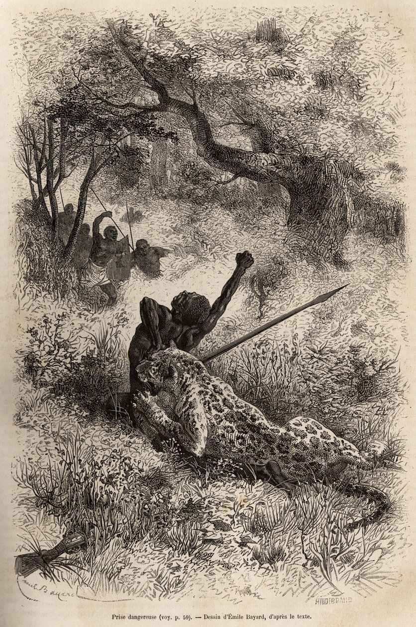 En leopard hopper på en mann og biter ham grusomt i ryggen, i nærheten av Bambare (Kongo), graverer etter en tegning av Emile Bayard, som illustrerer David Livingstones siste dagbok (1813-1873), i 1866-1873, publisert i " ”Le tour du monde”” 1875, rediger av Emile Antoine Bayard