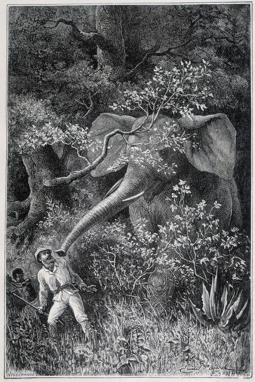 Livingstone overrasket av en elefant i "Le Tour du Monde" av Emile Antoine Bayard