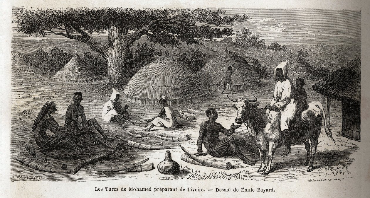 Forberedelse av elfenben, for en tyrkisk handelsmann, Uganda, tegning av Emile Bayard (1837-1891), som illustrerer kaptein Spekes oppdagelsesreise i Afrika fra 1860 til 1863. Gravering i “” Le tour du monde””, redigert av Edouard Charton av Emile Antoine Bayard