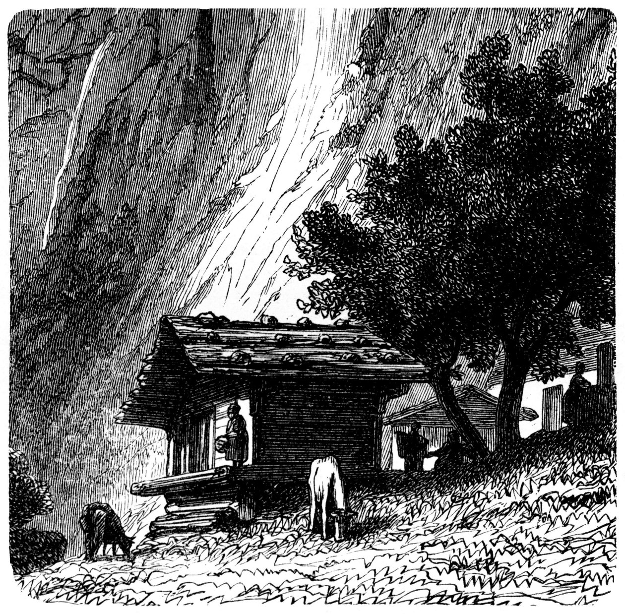 Utsikt over Alpene: gammel hytte ved foten av en klippe med kuer på beite (beite). Illustrasjon av Emile Bayard (detalj) for boken Les Montagnes d