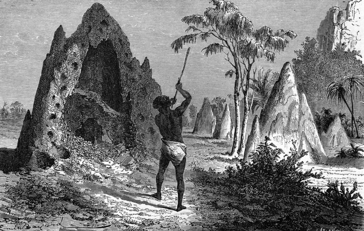 Landsby med krigerske termitter (termitiere), Afrika. Gravering 1897 av Emile Antoine Bayard