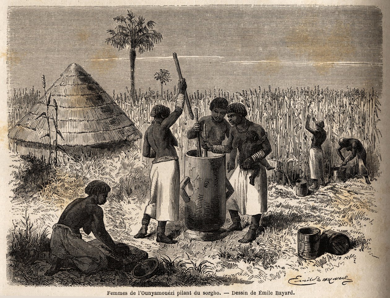 Kvinner som banker sorghum, i ounyamoezi (regionen ved de store innsjøer, Afrika), tegning av Emile Bayard (1837-1891), som illustrerer kaptein Spekes oppdagelsesreise i Afrika fra 1860 til 1863. Gravering i "" Le tour du monde"", redigert av Edouard Chart av Emile Antoine Bayard