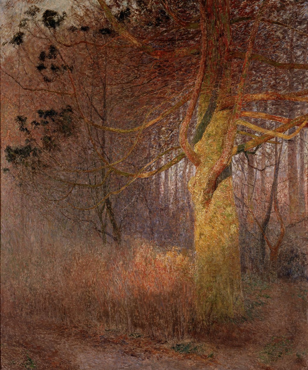 Solrikt tre av Emile Claus