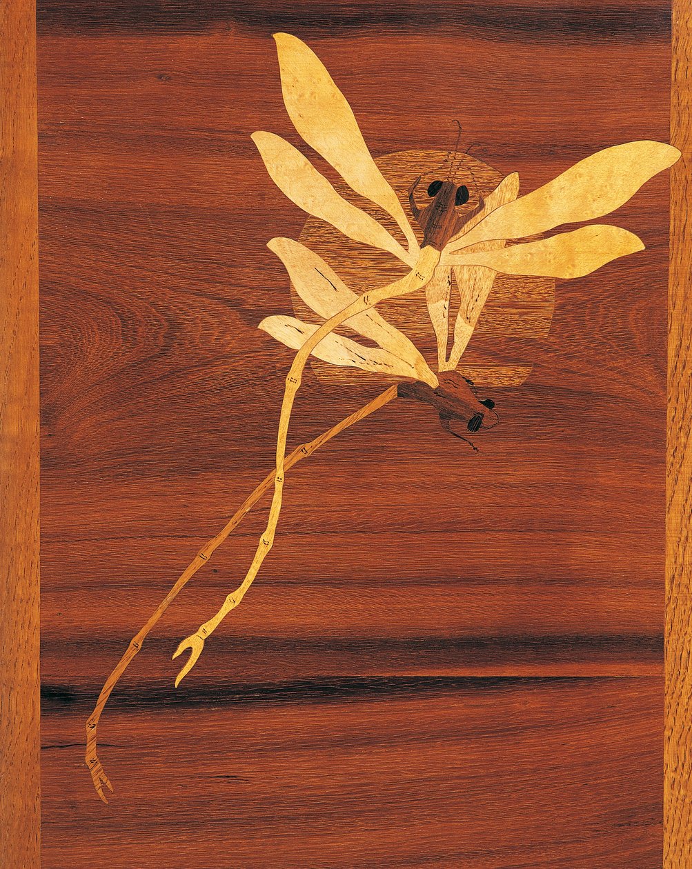 Øyenstikker, detalj fra skap i jugendstil, ca 1900, av Emile Galle (1846-1904), utskåret og innlagt valnøtt, Frankrike, 1900-tallet av Emile Galle
