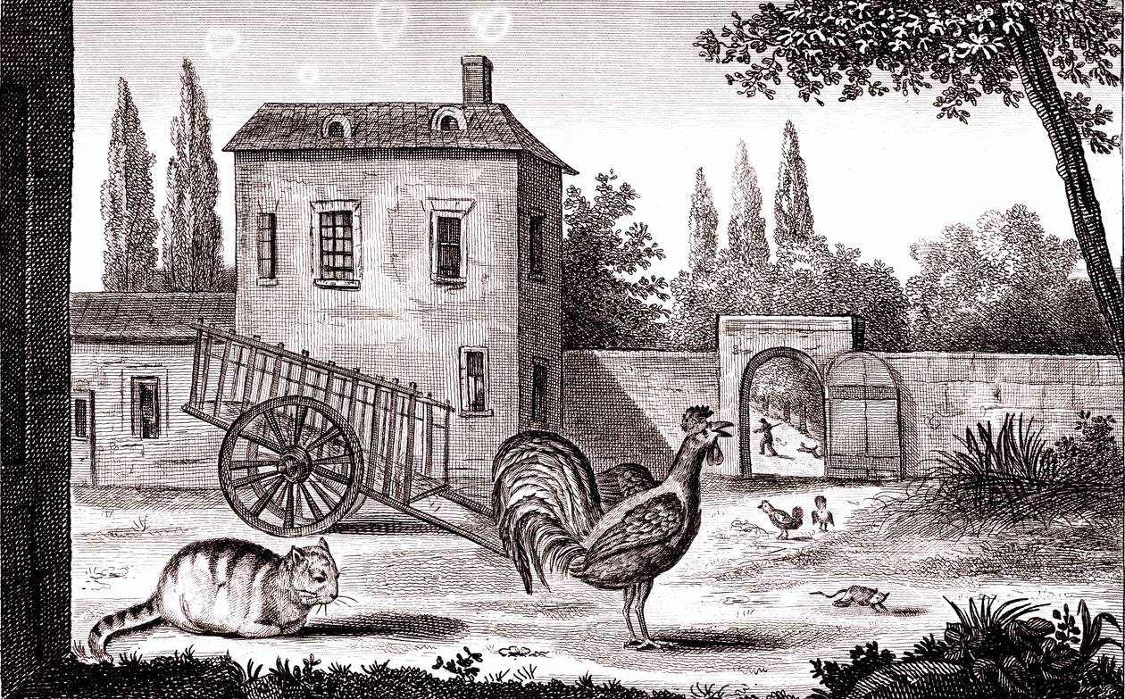 Hanen, katten og musen, Fabel av La Fontaine av Emile Joseph Alexandre Gouget