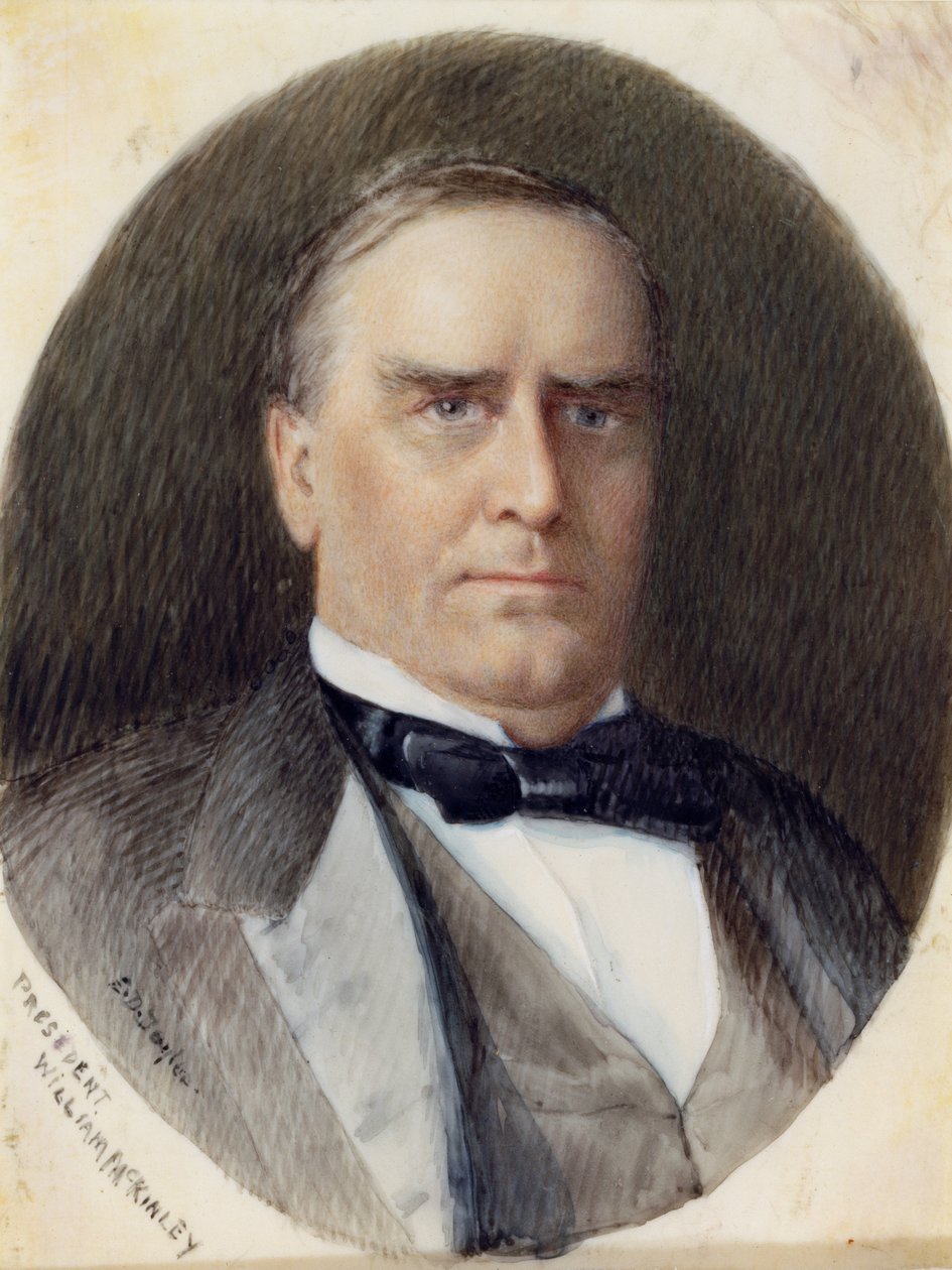 William McKinley av Emily Drayton Taylor