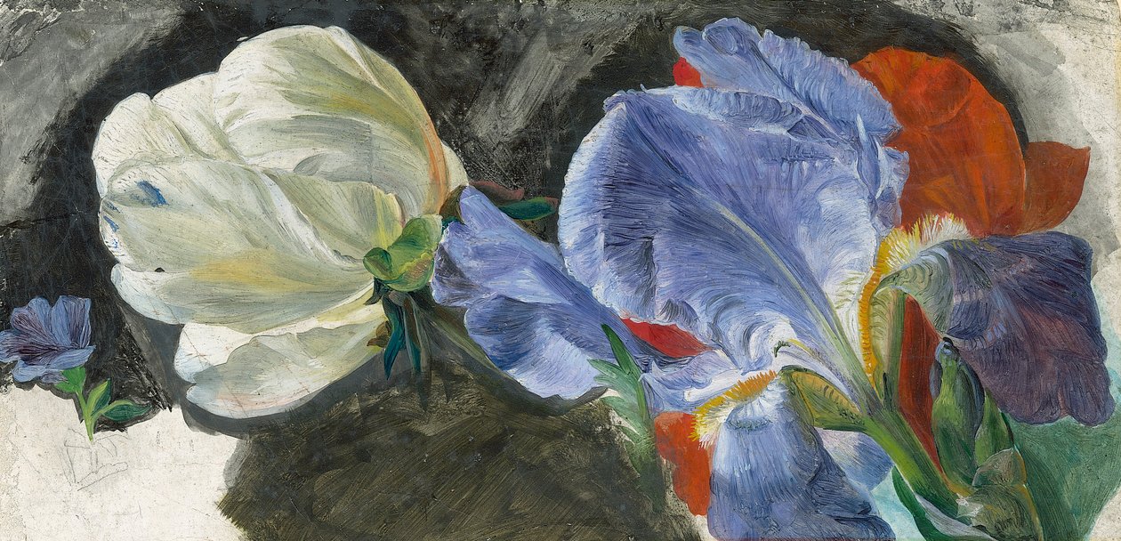 En studie av blomster (olje på papir) av Emily Stannard