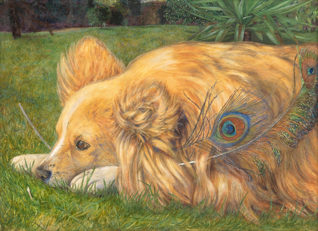 Jealous Jessie, 1861 (wc over spor av blyant forsterket med kroppsfarge og skraping ut) av Emily and Hunt, William Holman Hunt