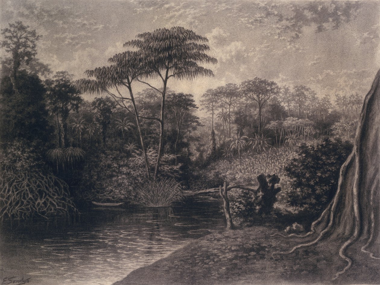 Utsikt over Kamerun-elven, Ambes Bay, Afrika, 1877 (kull på papir) av Emma Sandys