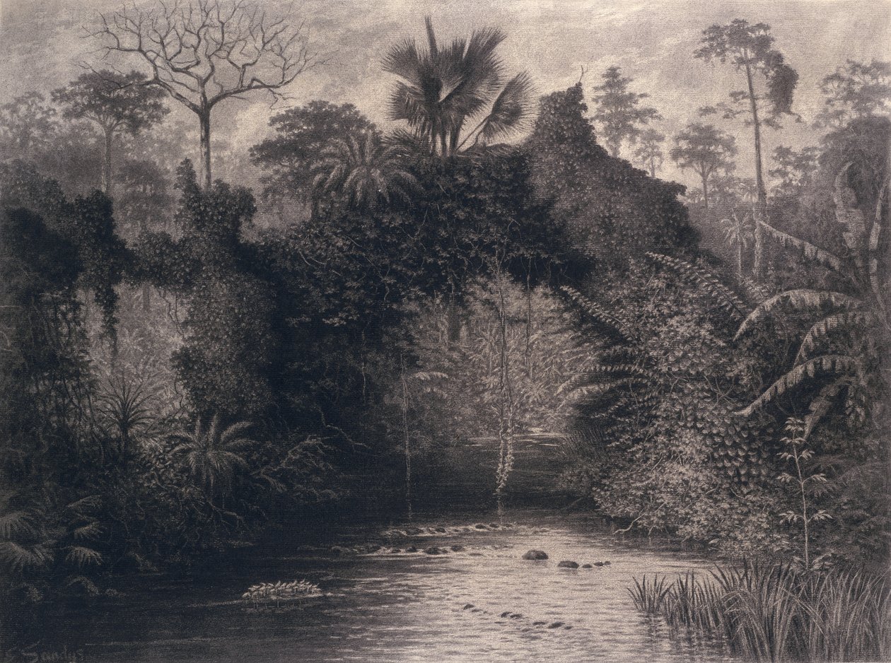 Utsikt over Biafrabukten, Vest-Afrika, 1877 (kull på papir) av Emma Sandys