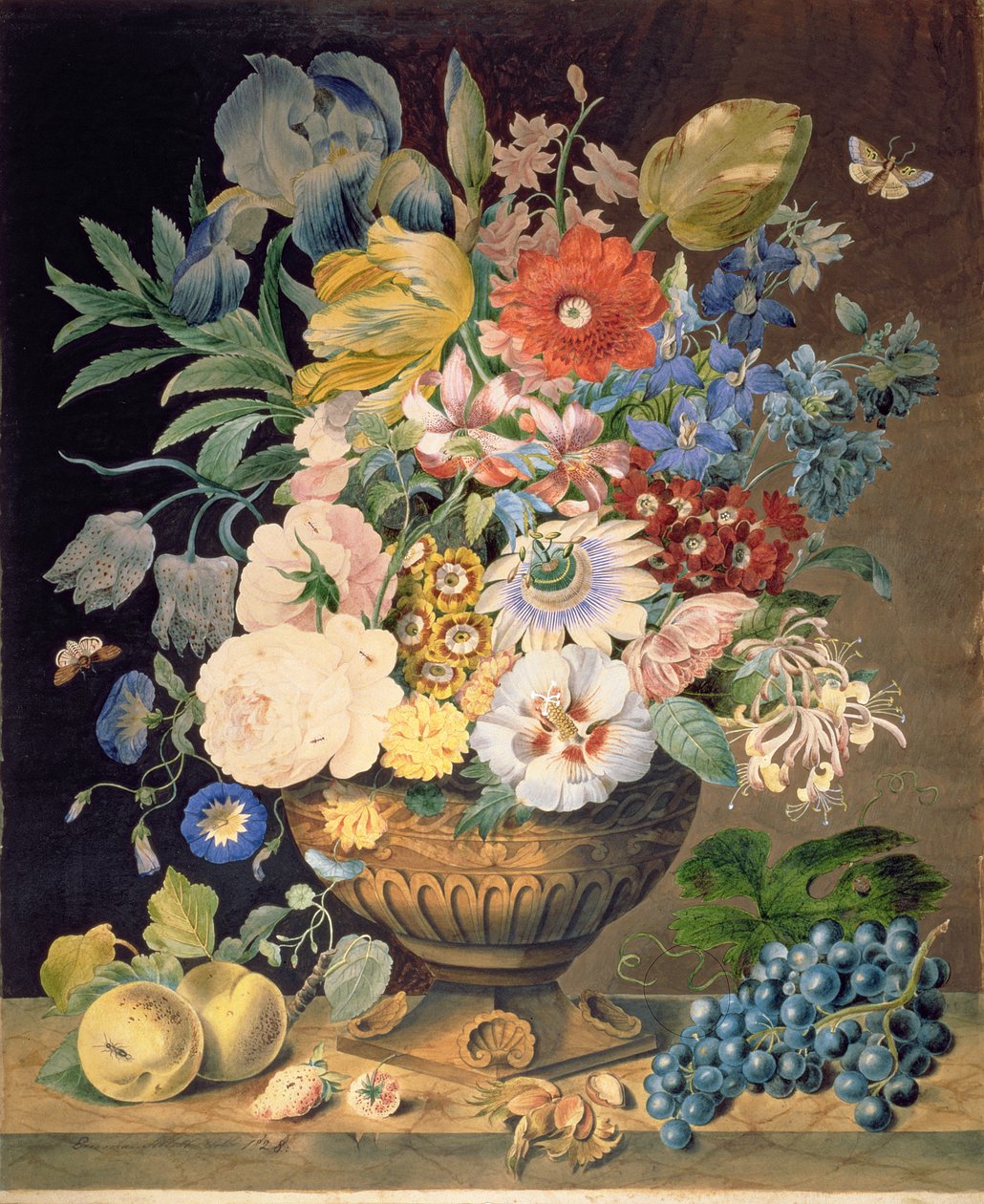 Blomster og frukt, 1828 (wc på papir) av Emma Sillett