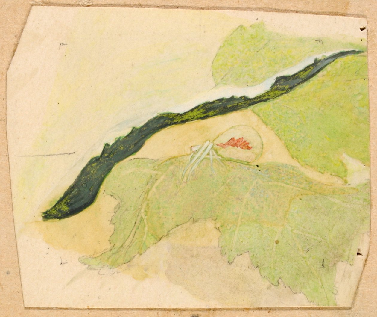 Porselens-hvit edderkopp, slutten av 1800-begynnelsen av 1900-tallet. av Emma Beach Thayer