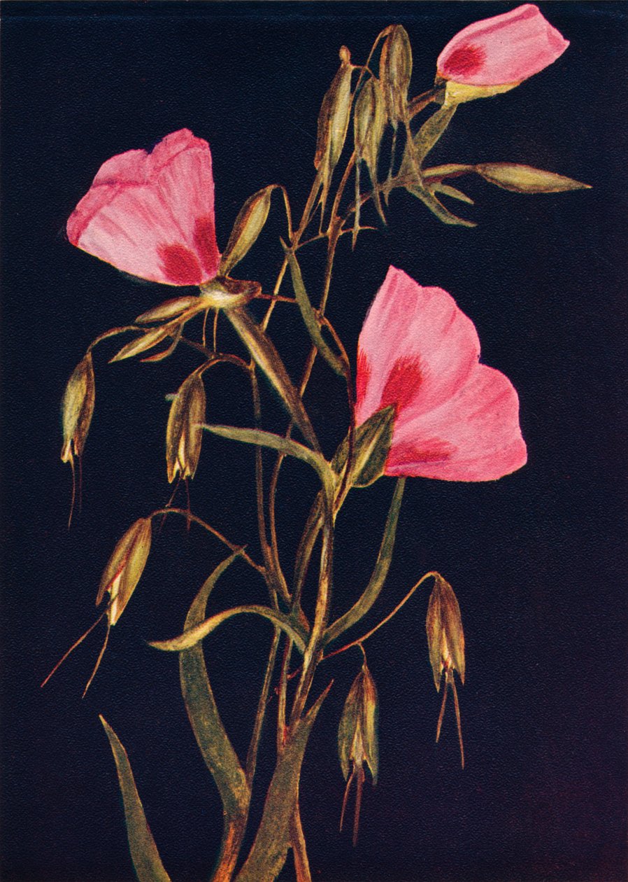 Farvel til våren, c1915, 1915 av Emma Graham Clock