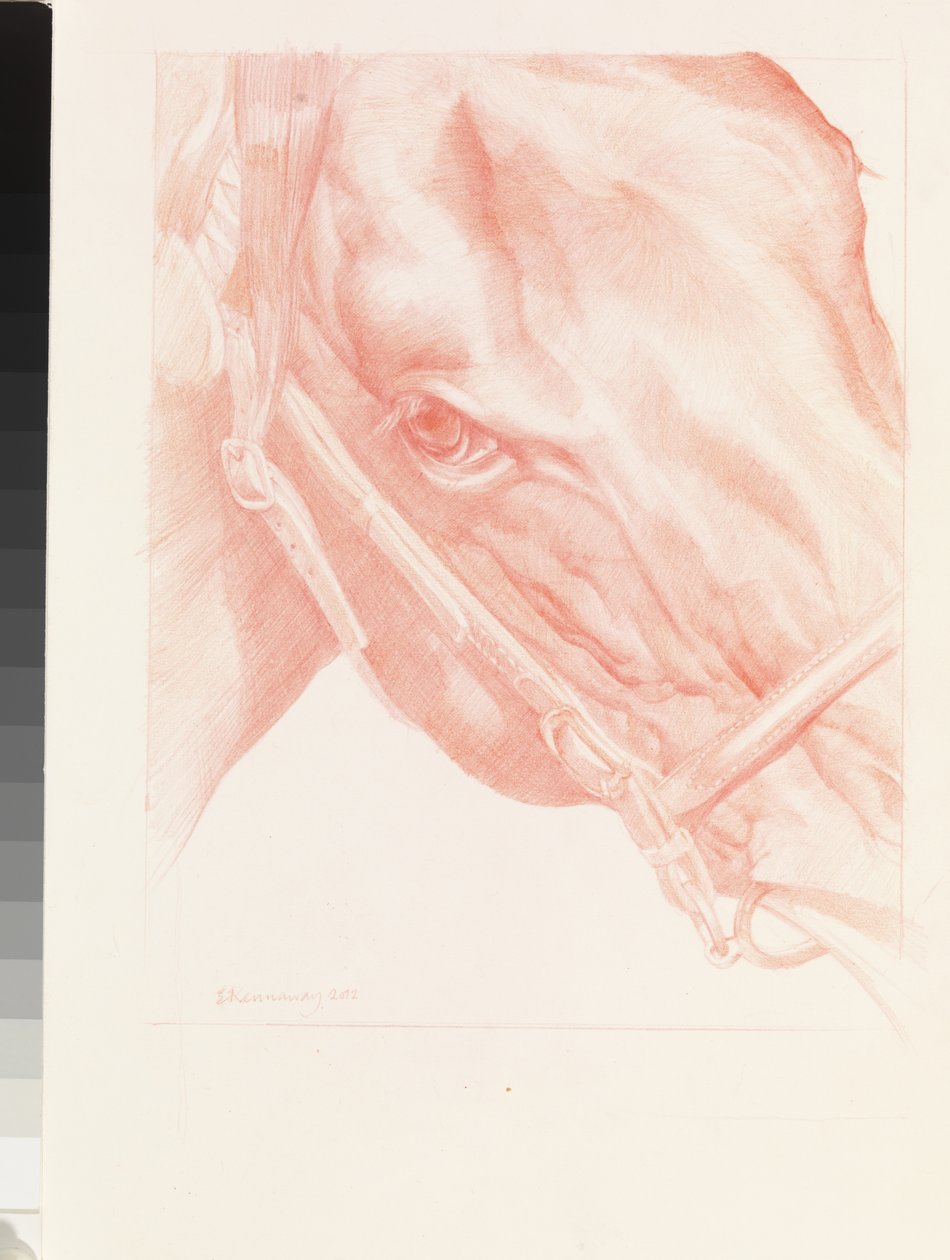 Portretthode, 2012 (rødt kritt på papir) av Emma Kennaway