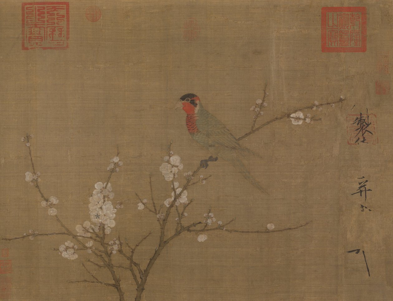 Femfarget undulat på et blomstrende aprikostre av Emperor Huizong