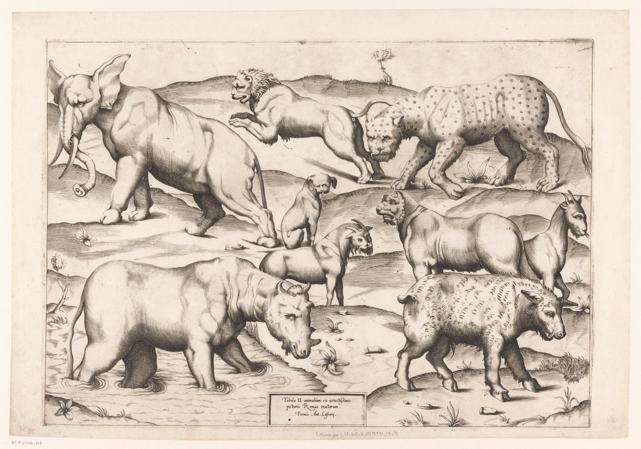 Ni dyr Dyr til antikke veggmalerier (serietittel) Speculum Romanae Magnificentiae (serietittel) av Enea Vico (attributed to)