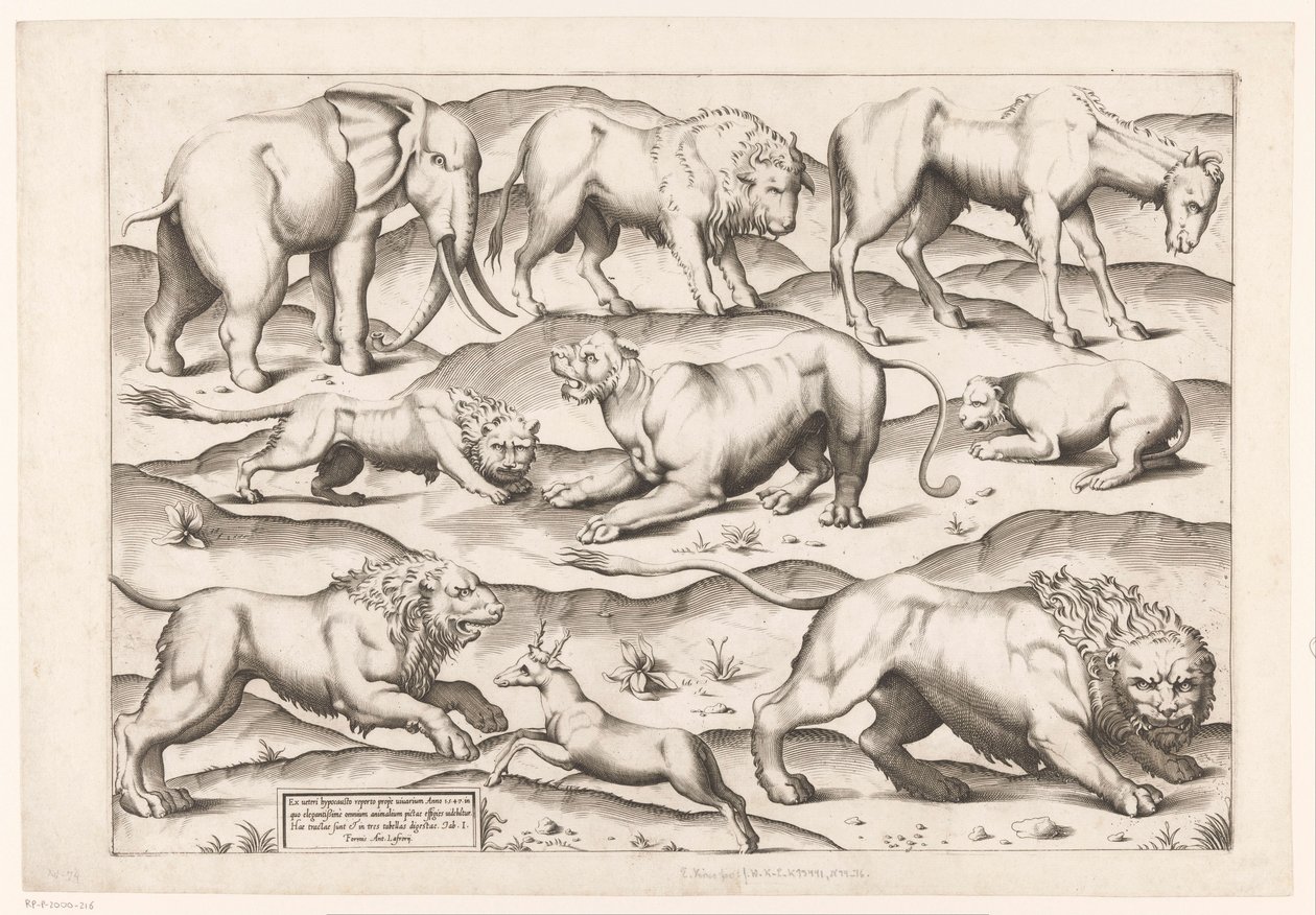 Ni ville dyr Dyr til antikke veggmalerier (serietittel) Speculum Romanae Magnificentiae (serietittel) av Enea Vico (attributed to)