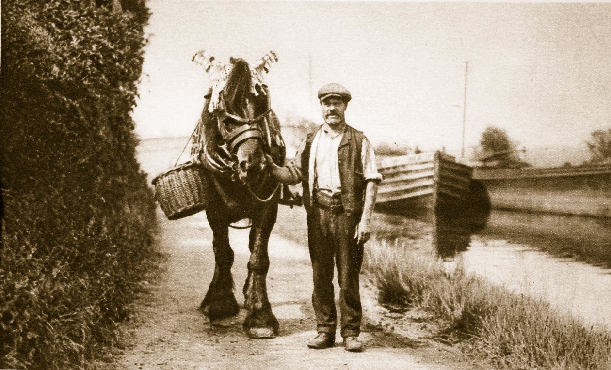En hest klar til å trekke en kanallekter, London (sepia-bilde) av English Photographer