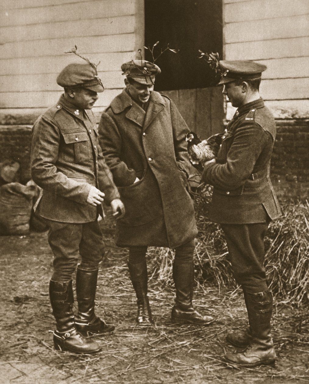 En typisk britisk gruppe: Mistelteinkledde soldater og en kylling til jul, illustrasjon fra The Illustrated War News (sepia-bilde) av English Photographer