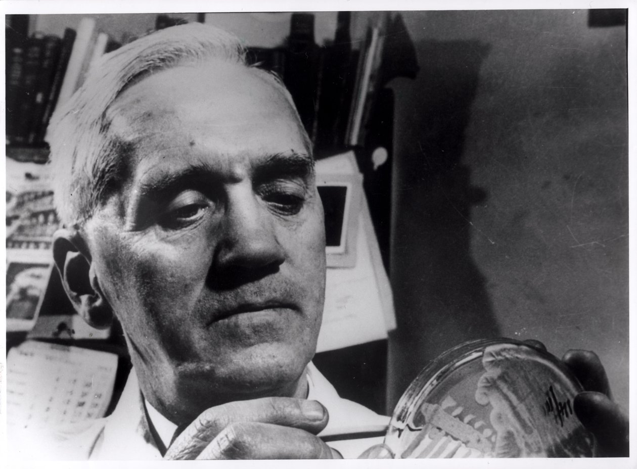 Alexander Fleming (1881-1955) ca. 1945 av English Photographer