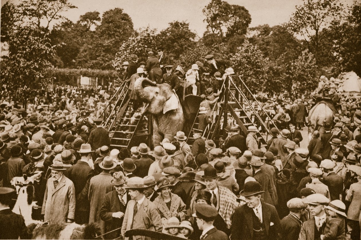 Dyreturer i London Zoo (sepia-bilde) av English Photographer
