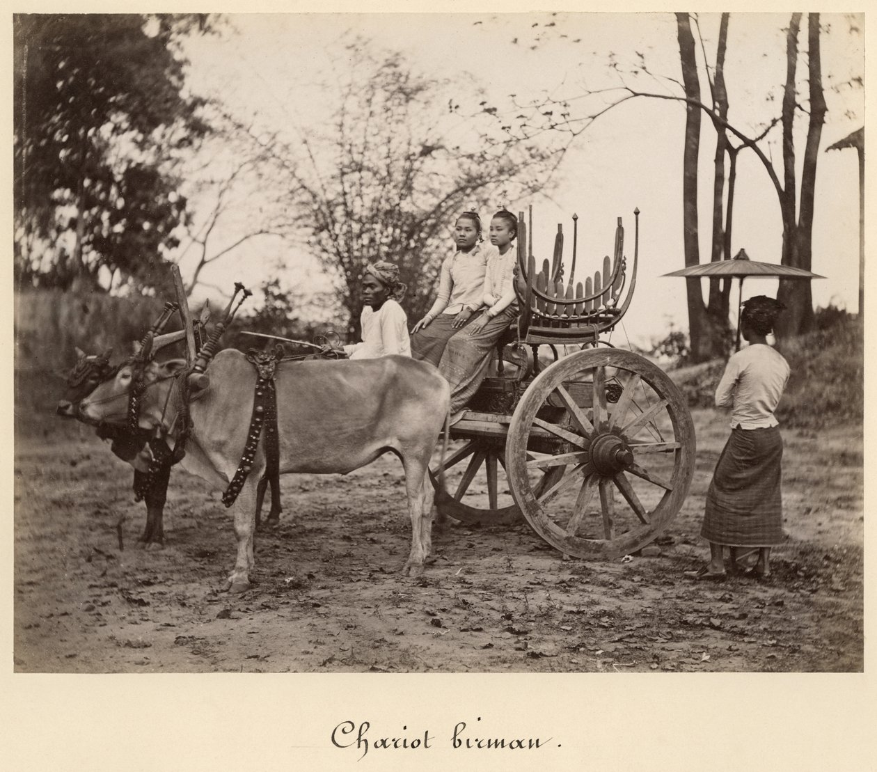 Vogn trukket av to okser i Mandalay, Burma, ca. 1885 (albumintrykk fra et glassnegativ) av English Photographer