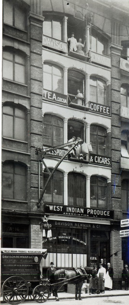 Davison Newman og co, Creechurch Lane, London ca. 1920 av English Photographer