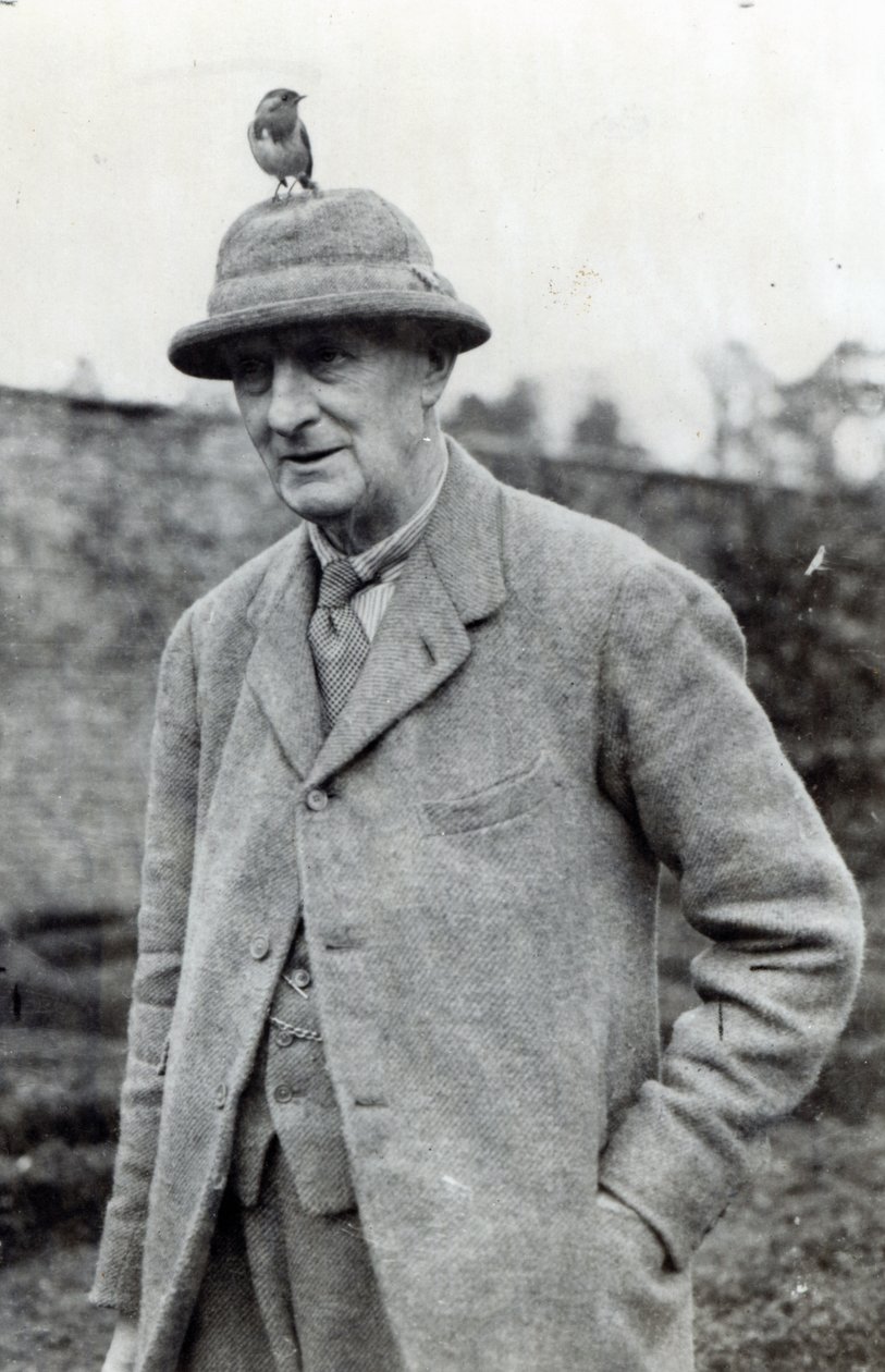 Edward Grey, 1. Viscount Grey av Fallodon av English Photographer