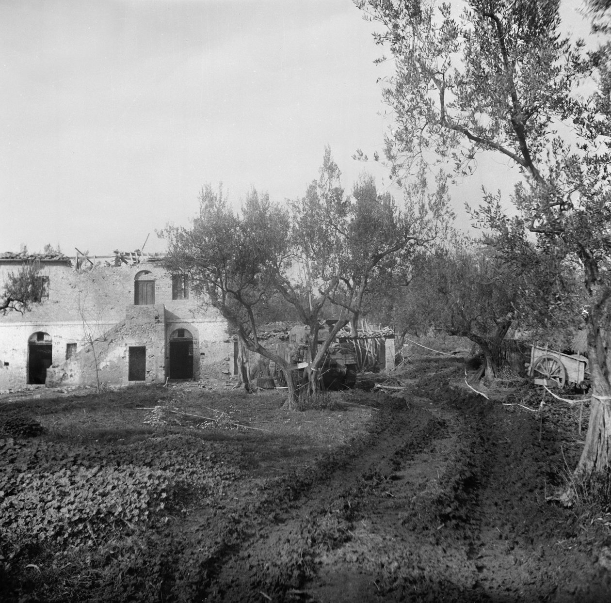 Inngang til kjørefeltet, gjennom et minefelt, som fører opp til Licolle Ridge, ca. 1944 av English Photographer