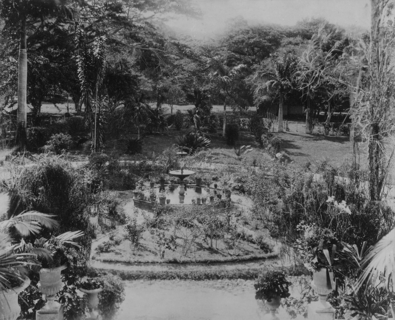 Garden of a Suburban Villa, Port of Spain, Trinidad av English Photographer