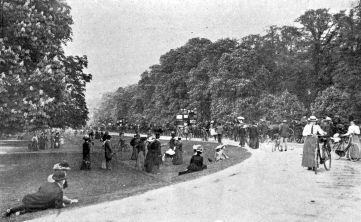 Generell utsikt over Bushey Park, illustrasjon fra The King, 25. mai 1901 av English Photographer