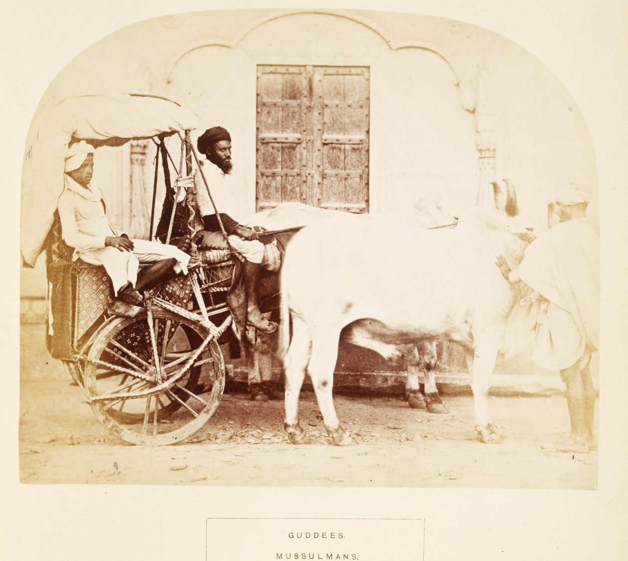 Guddees, Mussulmans, Rajpootana, fra The People of India, av J. Forbes Watson, utgitt 1868 (albumtrykk) av English Photographer