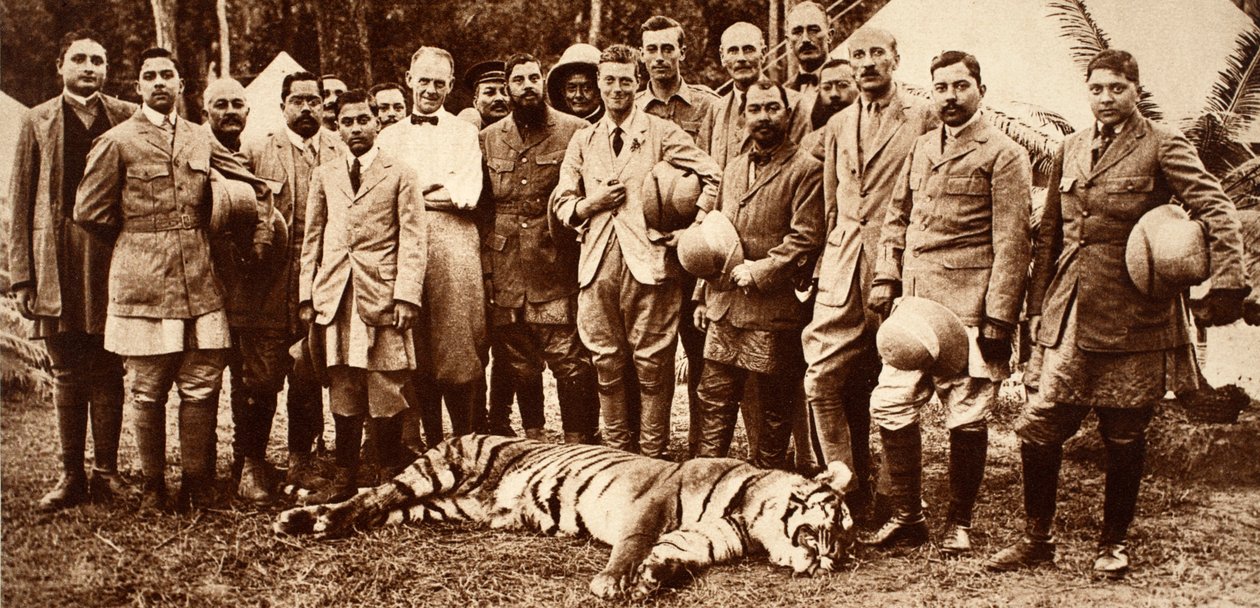 Kong Edward VIIIs første tiger, 1921 av English Photographer